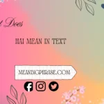 what does hai mean in text