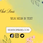 what does WLM mean