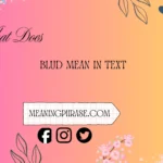 what does blud mean in text