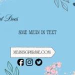 what does sme mean in text