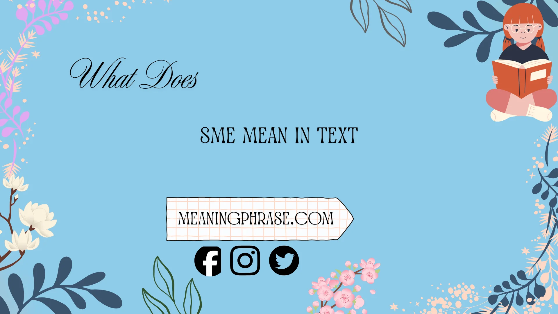 what does sme mean in text