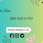 what does whst mean in text
