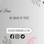 what does bi mean in text