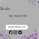 what does wno mean in text