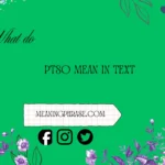 what does ptso mean in text