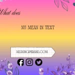 what does nu mean in text