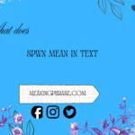 what does spwn mean in text