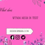 what does wtmm mean
