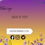 what wsp mean in text