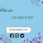 what does ICU mean in text