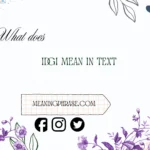 what does IDGI mean in text