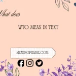 what does wto mean in text