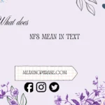 what does nfs mean in text