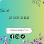 what does ns mean in text