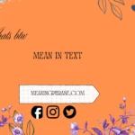 whats btw mean in text