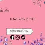 what does lowk mean in text