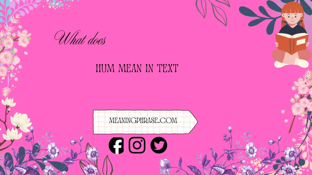 what does hum mean in text