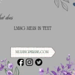 what does lmsg mean in text