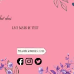 what do lmy mean in text
