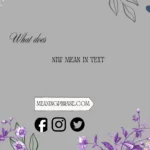 What Does NIW Mean in Text? Full Slang Meaning Explained 2026