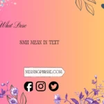 what does smh mean in text