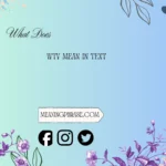 what does wtv mean in text