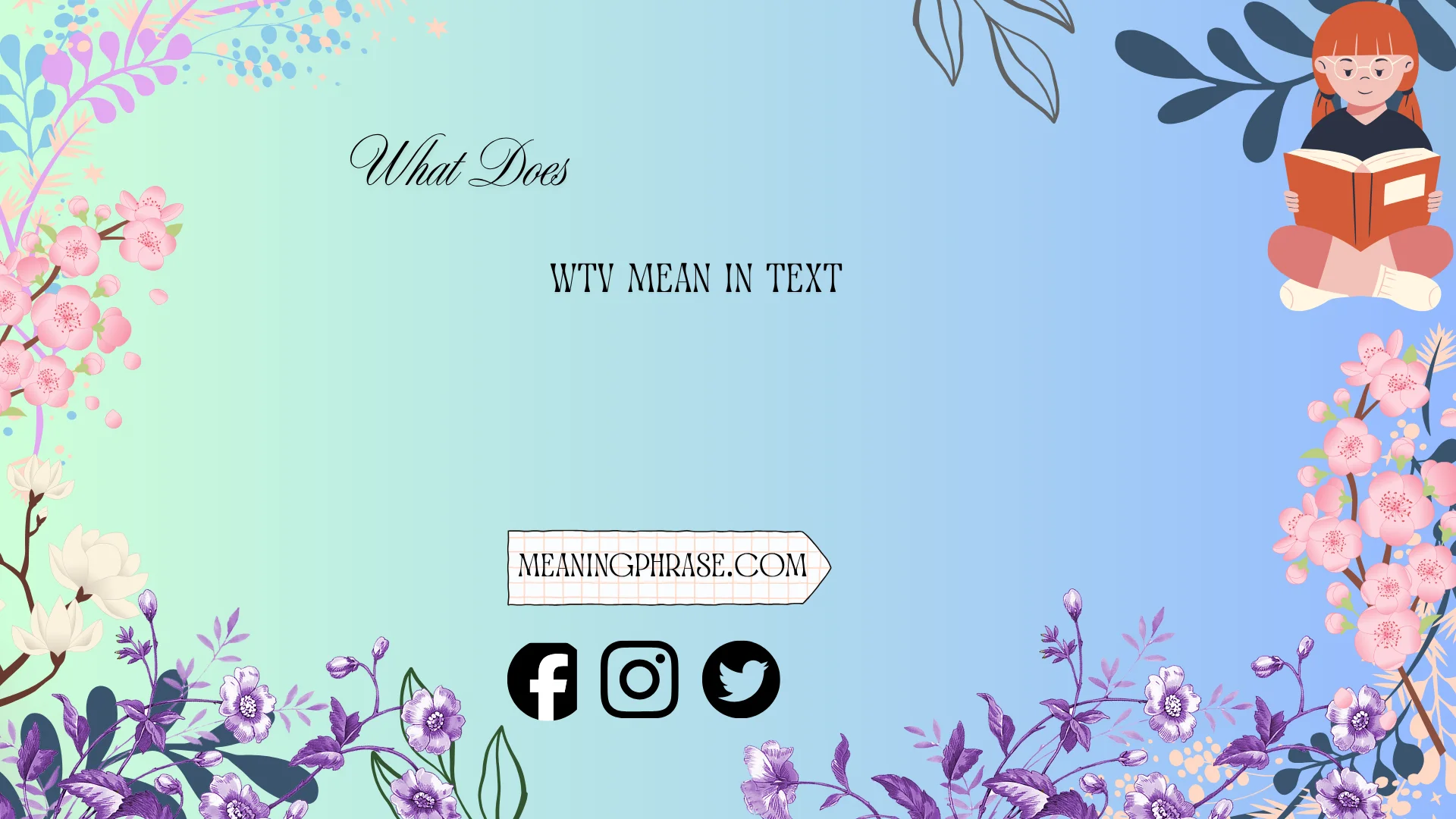 what does wtv mean in text