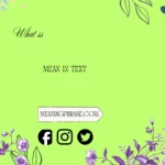 what ss mean in text