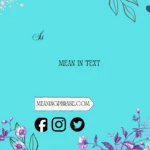 what does ss mean in text